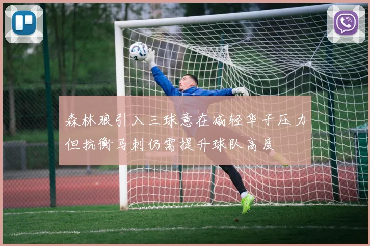 森林狼引入三球意在减轻华子压力但抗衡马刺仍需提升球队高度